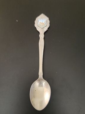 Vintage New Mexico Souvenir Decorative Spoon with Scenic Crest - Silver Tone